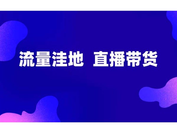 正播網(wǎng)紅直播帶貨，新的流量洼地！